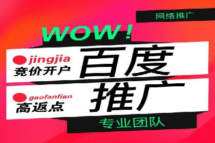 深度解析百度竞价包年服务：某行业领先企业的营销策略